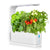 Smart Hydroponic Indoor Garden Automated Growing System