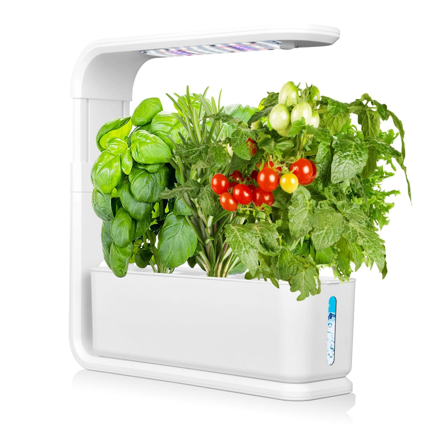 Smart Hydroponic Indoor Garden Automated Growing System