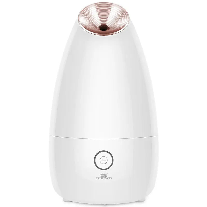 Ionic Facial Steamer Professional Nano Steam Cleansing - Quality & Innovation - Getixt