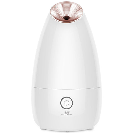 Ionic Facial Steamer Professional Nano Steam Cleansing