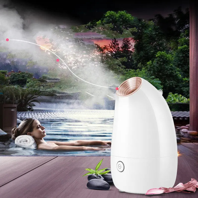 Ionic Facial Steamer Professional Nano Steam Cleansing - Quality & Innovation - Getixt