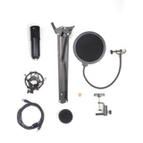 USB Condenser Mic Studio Quality Recording 192kHz 24bit