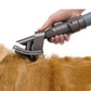 Aspirateur silencieux pour le toilettage des animaux de compagnie