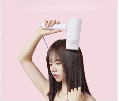 Sèche-cheveux portable pour animaux de compagnie : appareil silencieux à séchage rapide