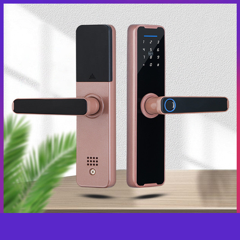 Biometric Smart Lock Fingerprint Door Security System