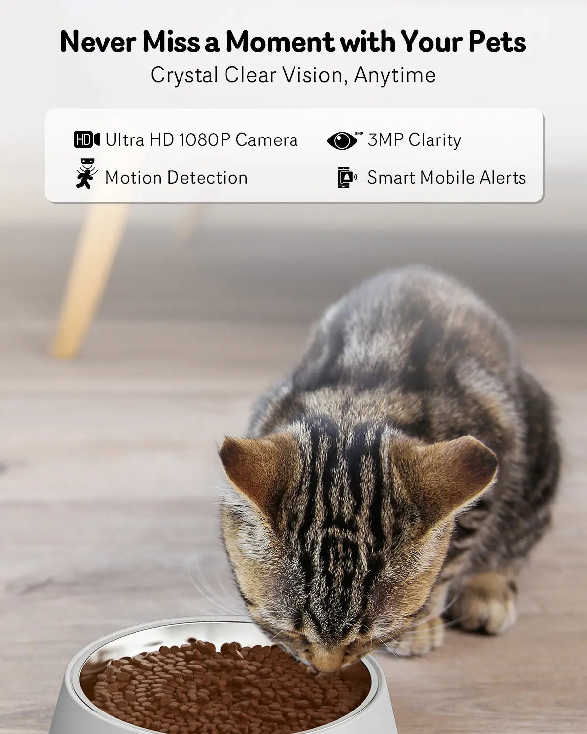 Automatic Cat Feeder With Camera, 1080P HD Video, Night Vision, 5G WiFi, 2-Way Audio, 10s Voice Recorder, Low Food & Blockage Getixt