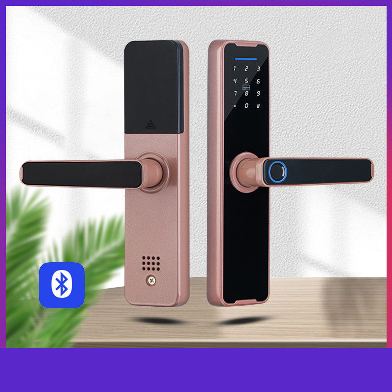 Biometric Smart Lock Fingerprint Door Security System